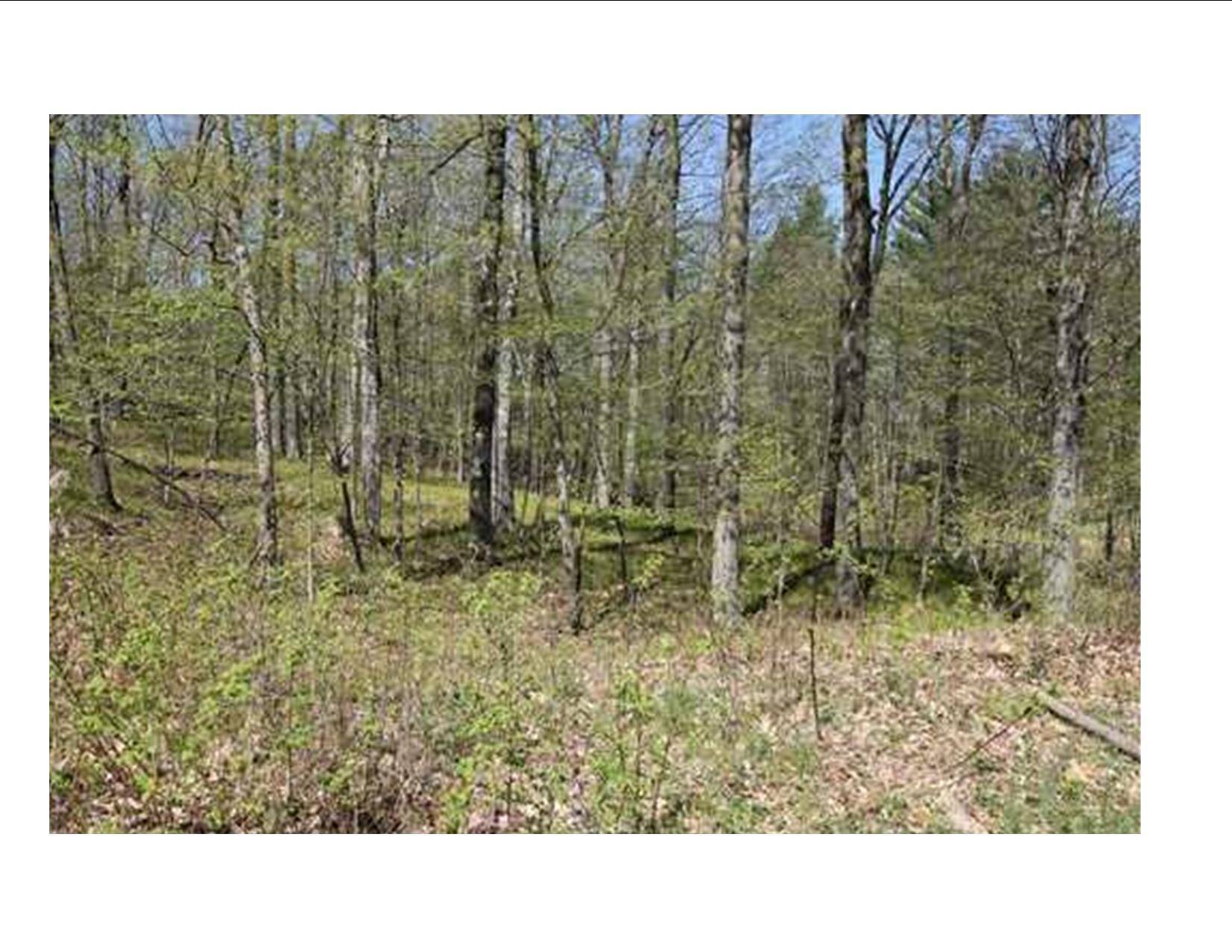 Cumberland, WI 54829,Lot 1 County Rd B
