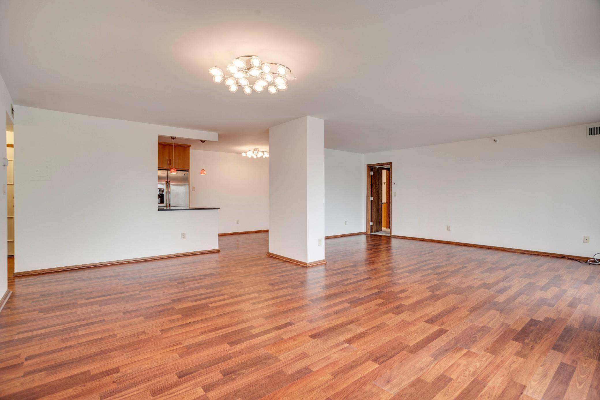 Minneapolis, MN 55403,1225 Lasalle Avenue #1704