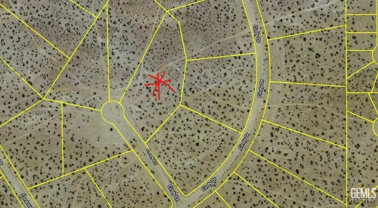 California City, CA 93504,0 APN 291-032-09