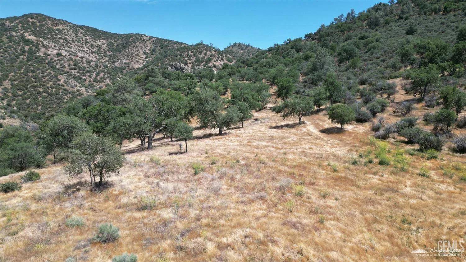 Caliente, CA 93518,0 Back Canyon Road