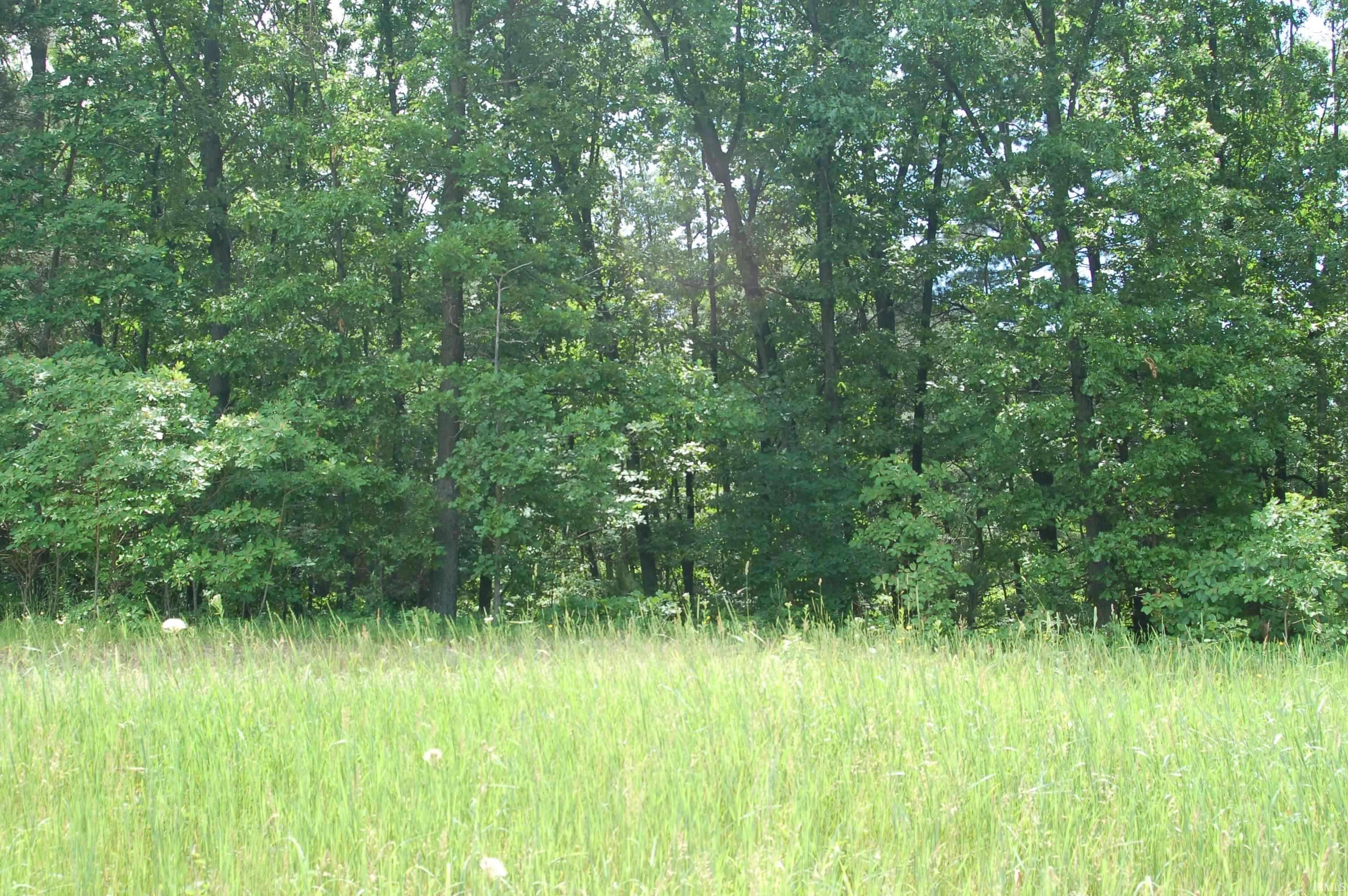 South Bend, IN 46628,21565 RIVENDELL CT