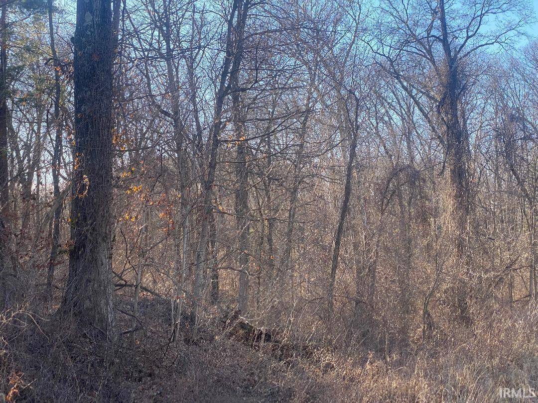 Jasonville, IN 47438,W St. Rd. 48 Highway