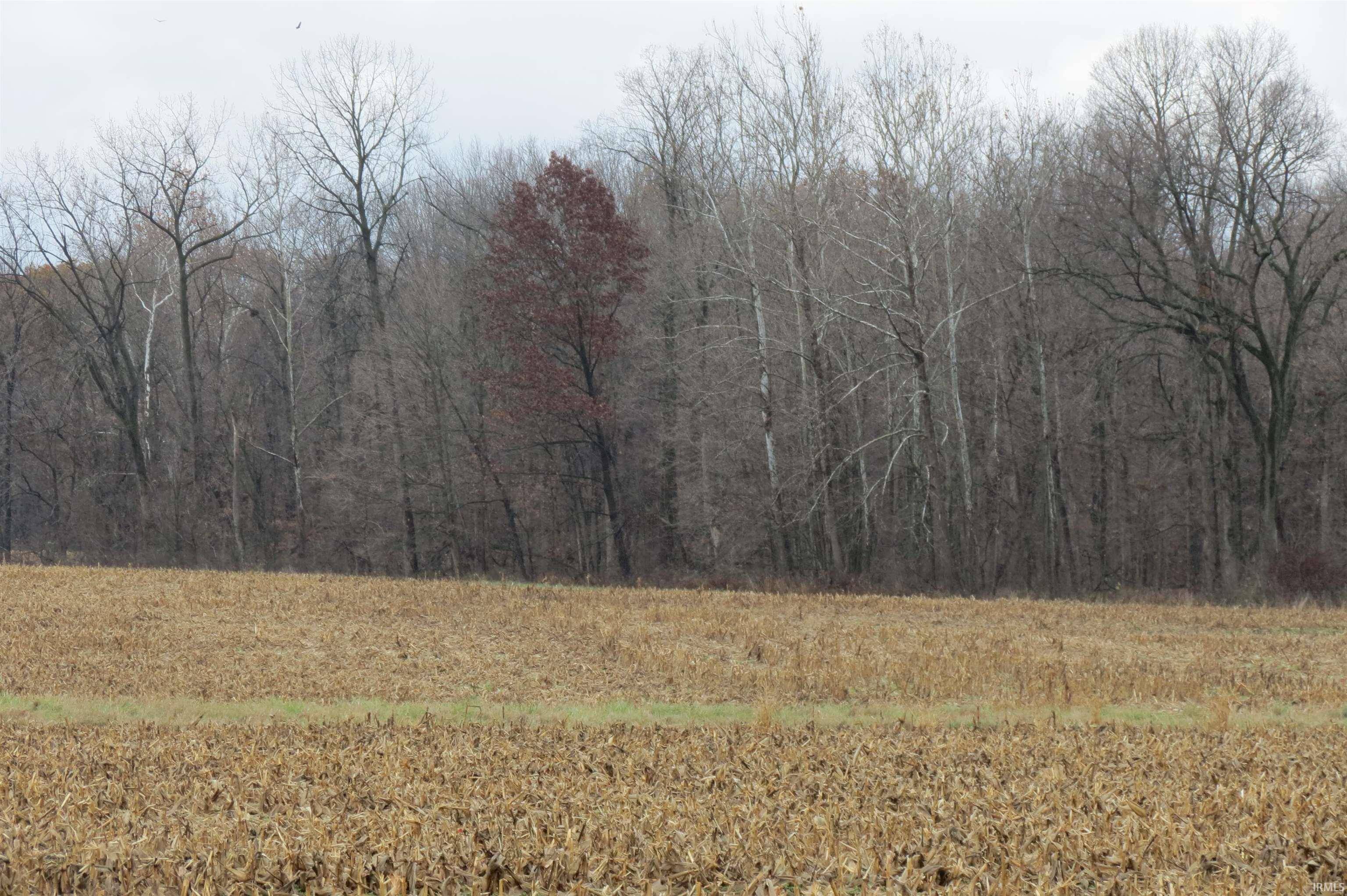 Perrysville, IN 47974,1000 N 300 W