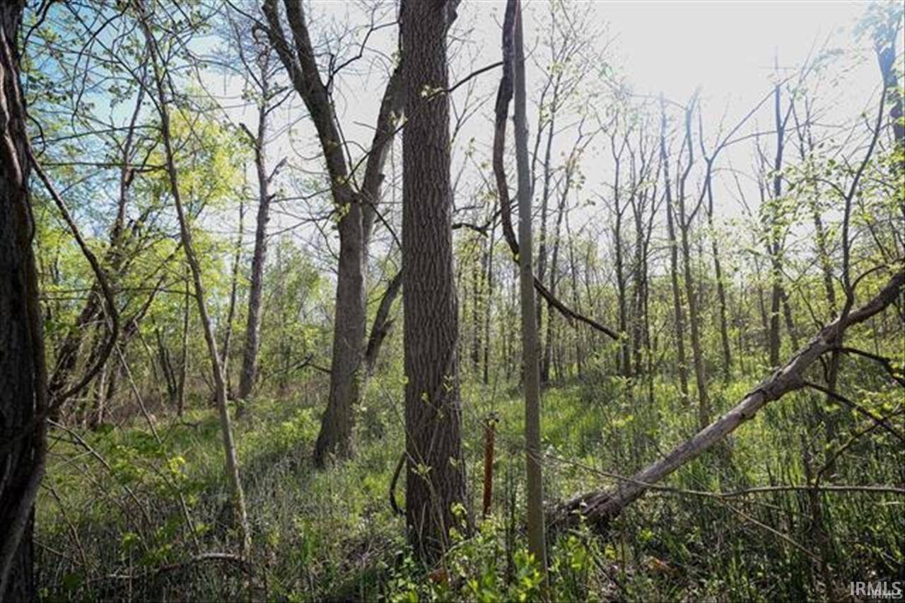 Rochester, IN 46975,0 Sycamore Bend