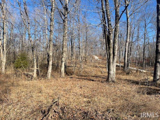 Springville, IN 47462,Tract 1 S Dry Branch Road