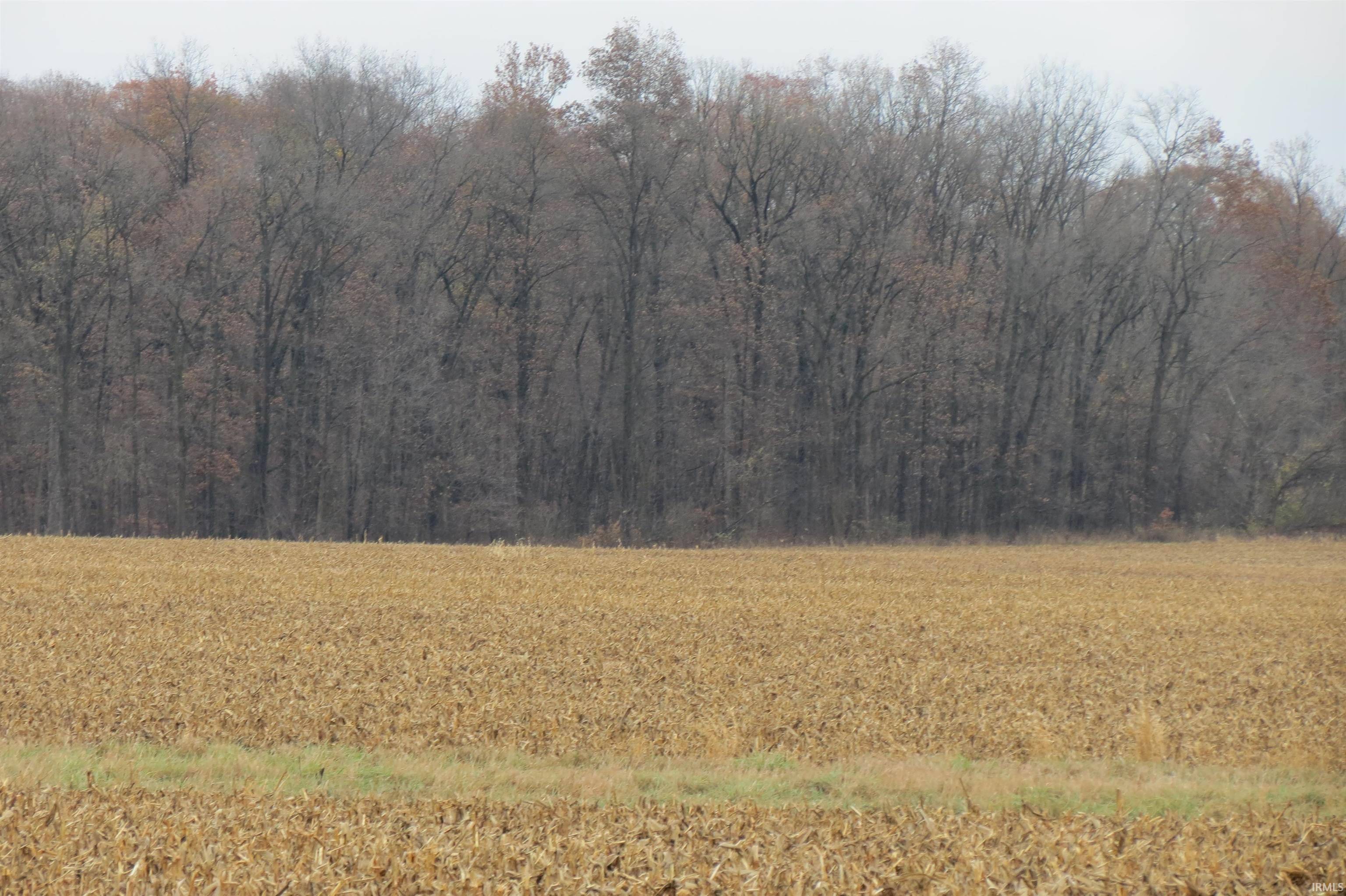 Perrysville, IN 47974,1000 N 300 W