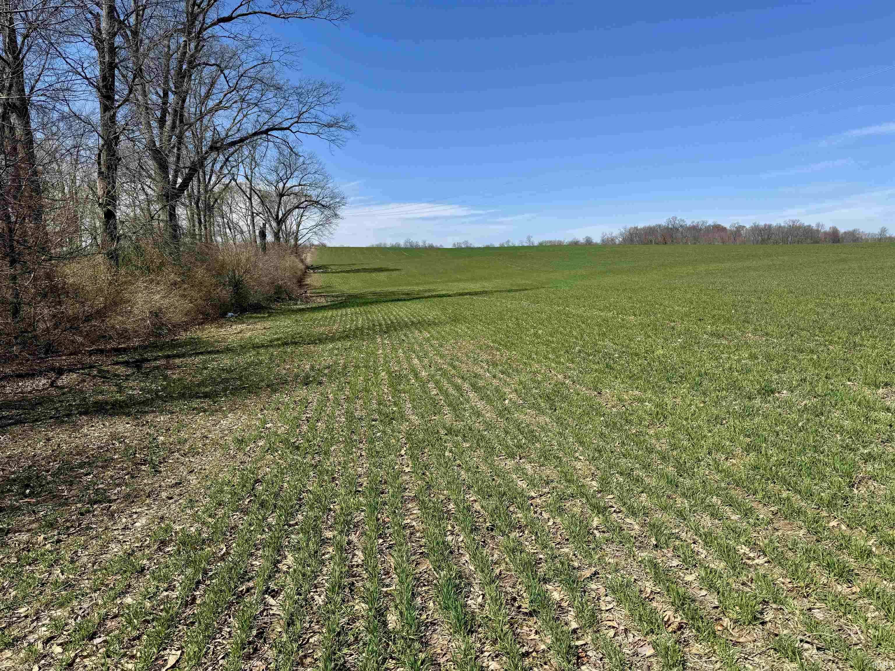 Loogootee, IN 47553,2 off US 231 and Mt. Calvary Road