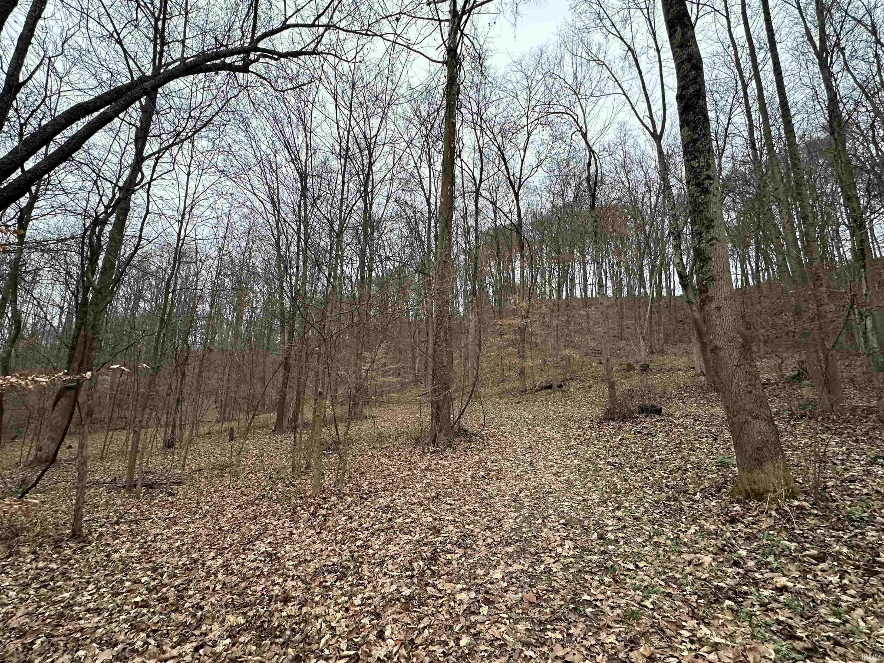 Shoals, IN 47581,TBD WITT ROAD