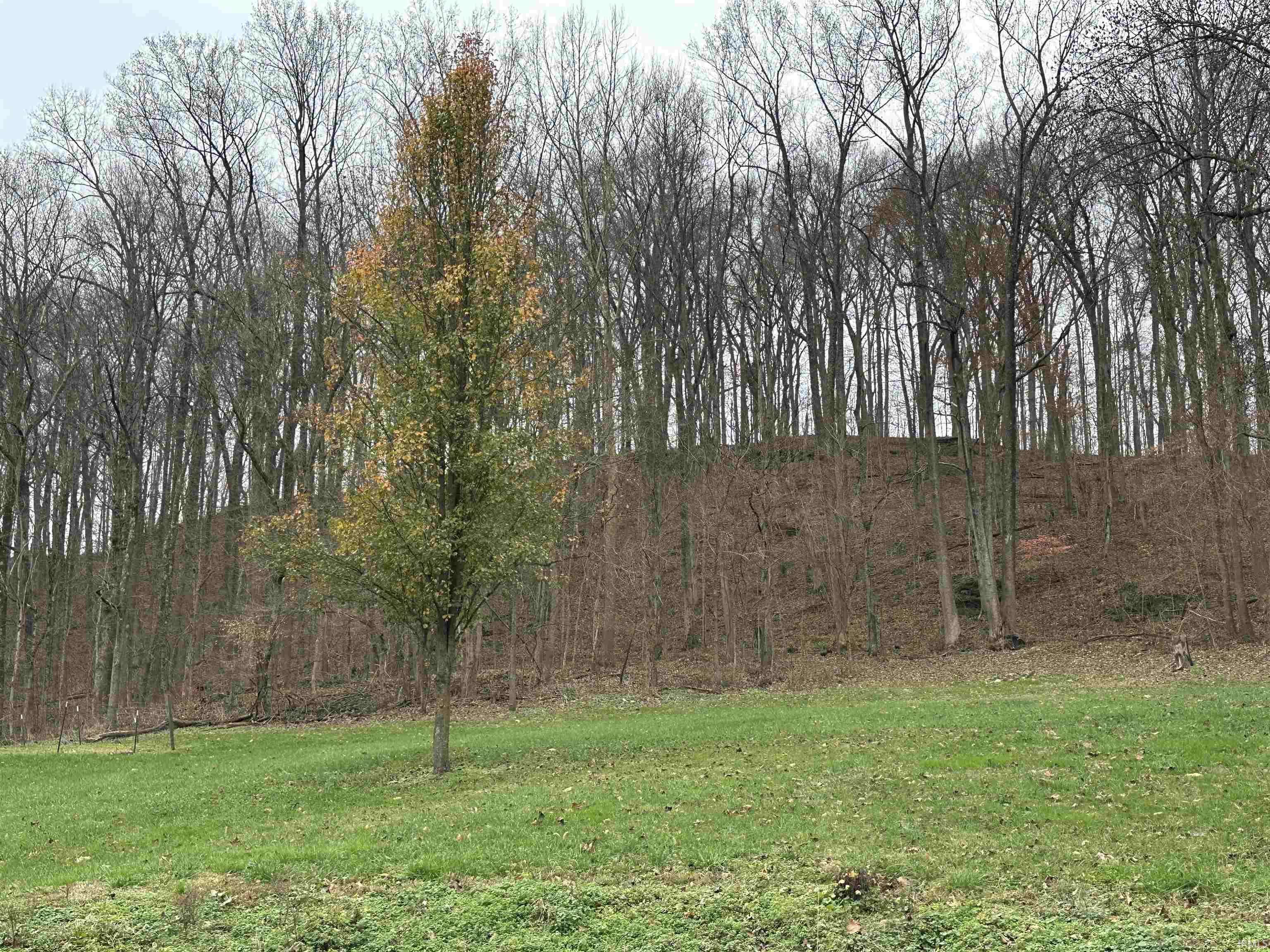 Shoals, IN 47581,TBD WITT ROAD