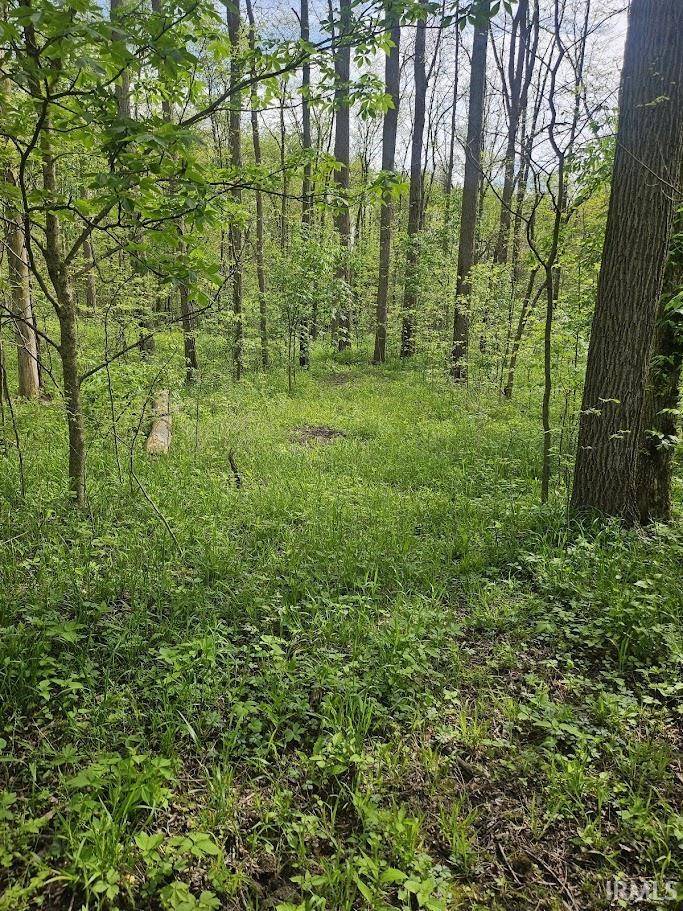 Silver Lake, IN 46982,36.65 Acres E St Rd 14