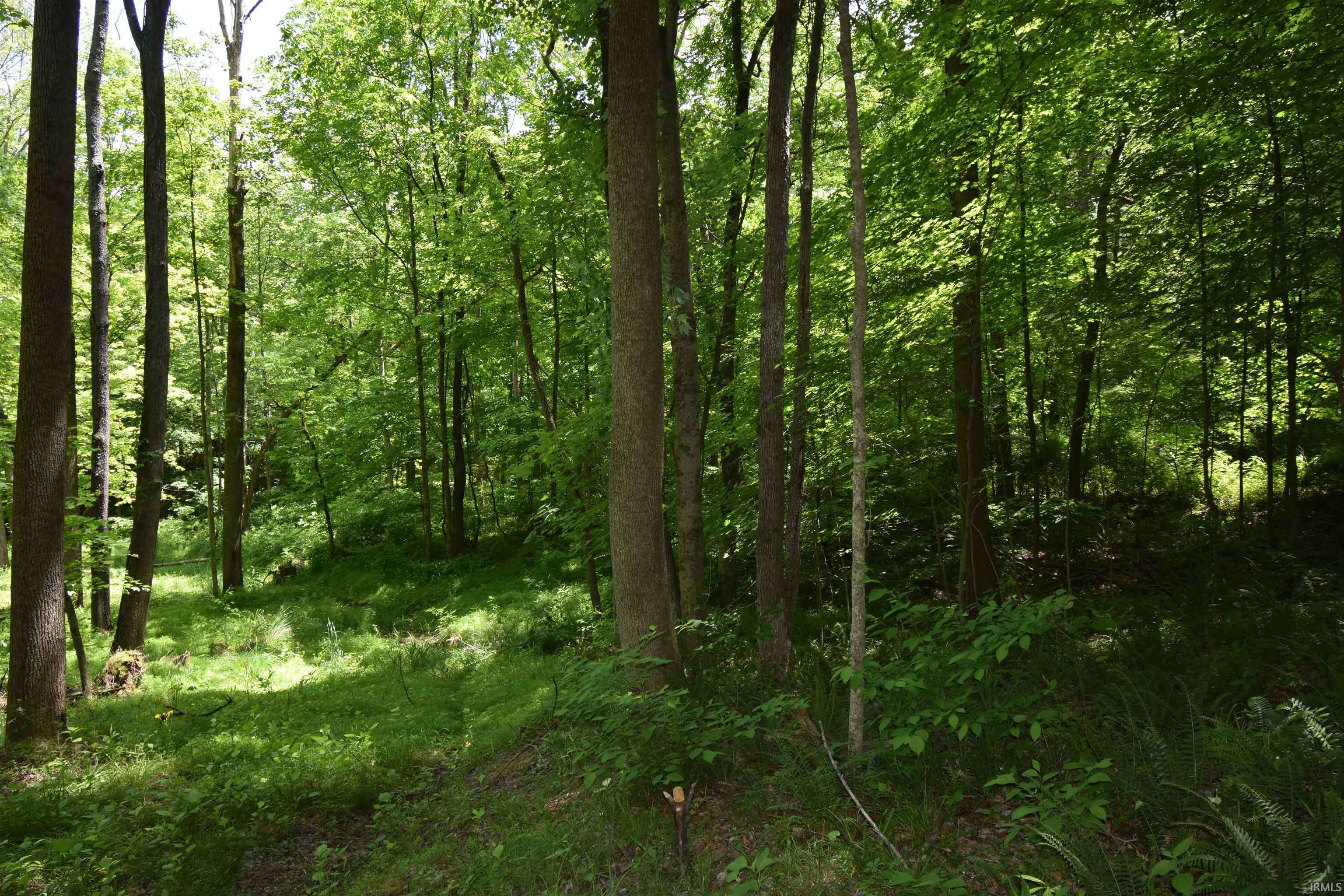 Dubois, IN 47527,0 N 750 Road