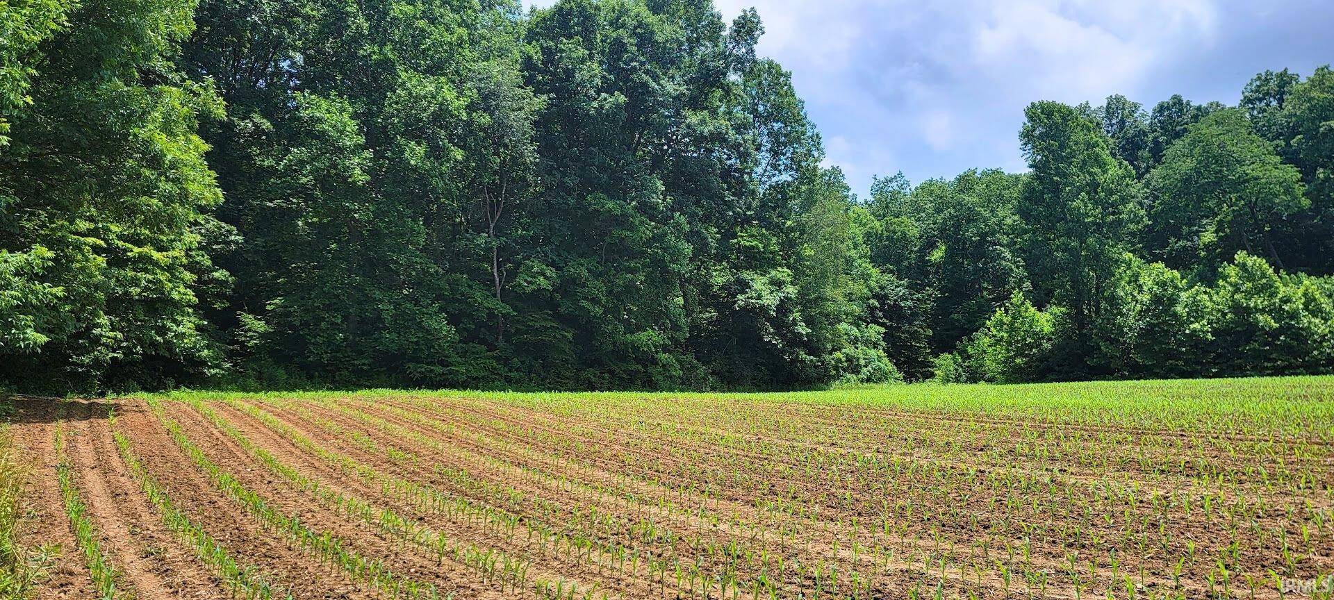 Shoals, IN 47581,Tract 1 High Gap Road