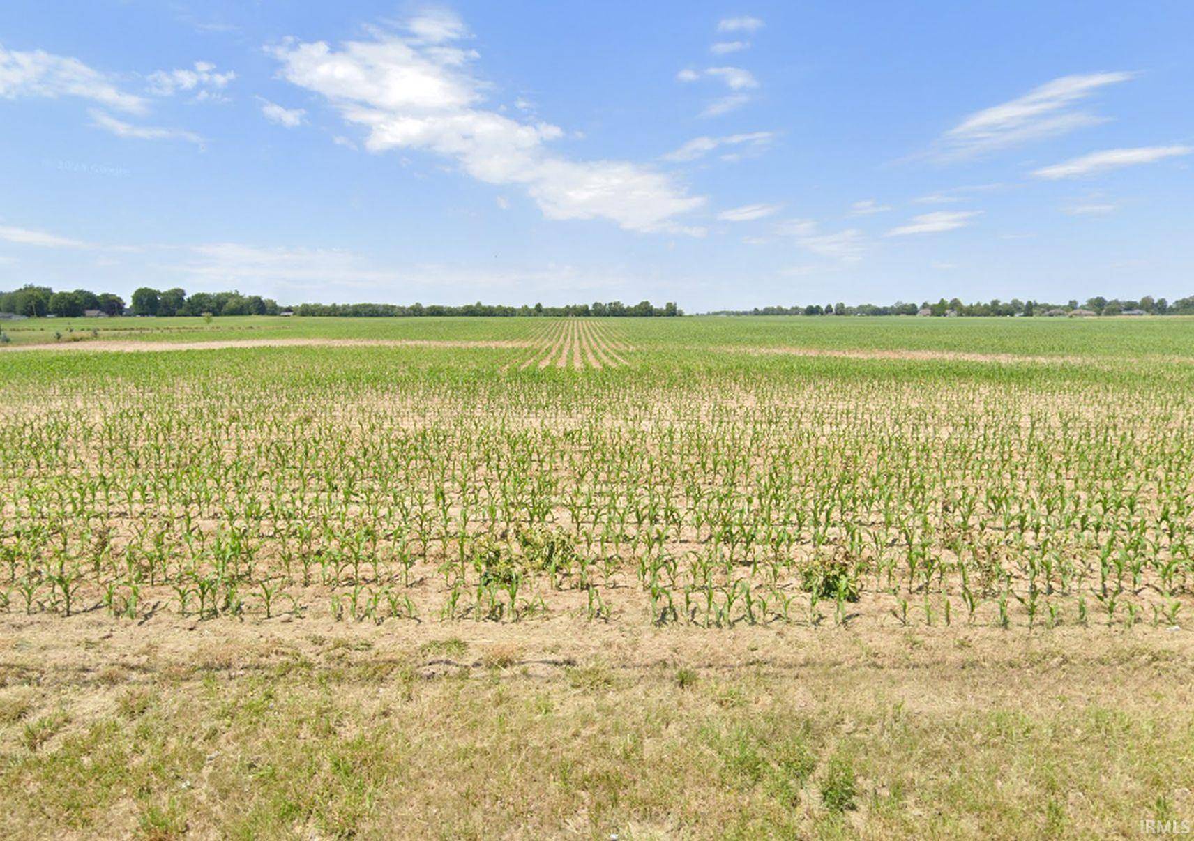 Kokomo, IN 46901,N 300 w Road