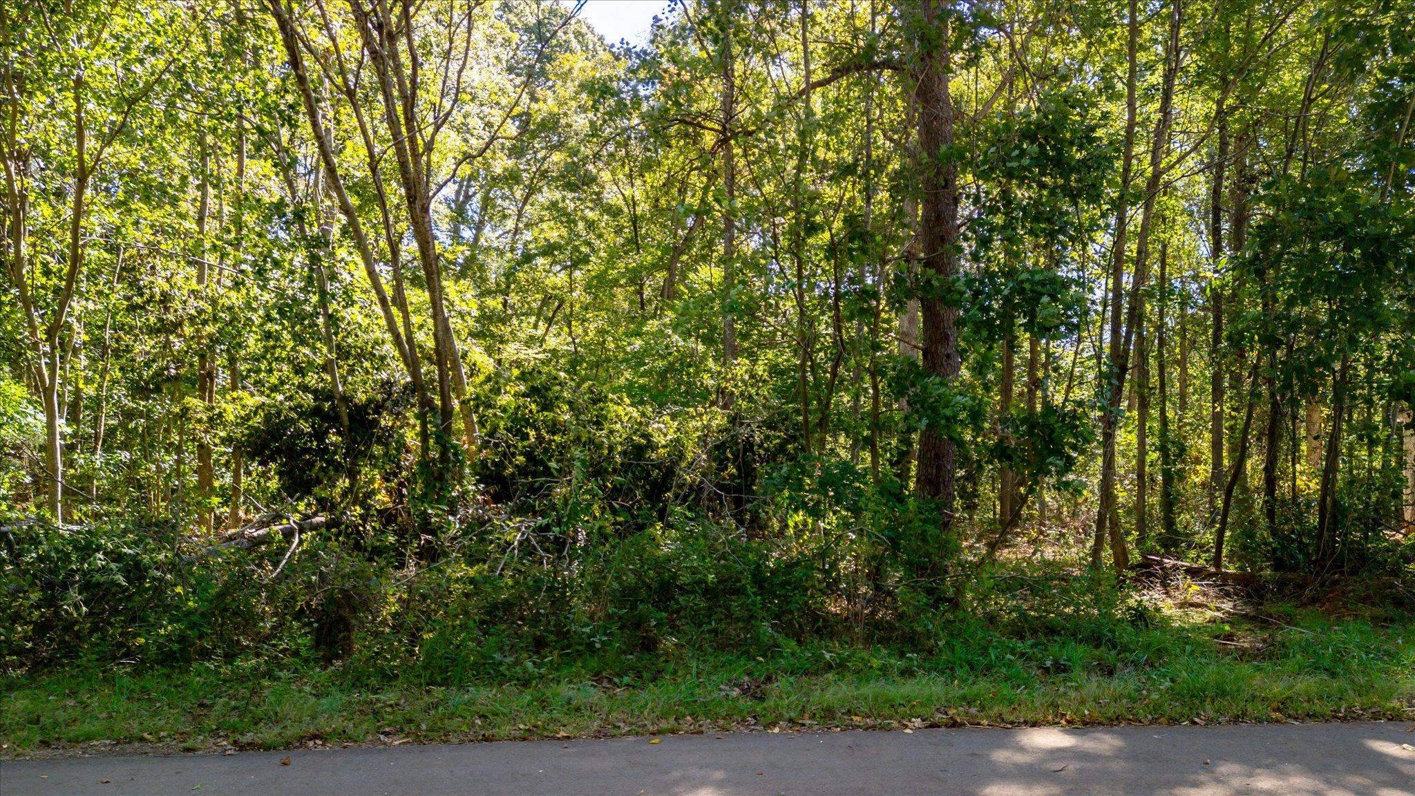 Piedmont, SC 29673,00 Aragon Street