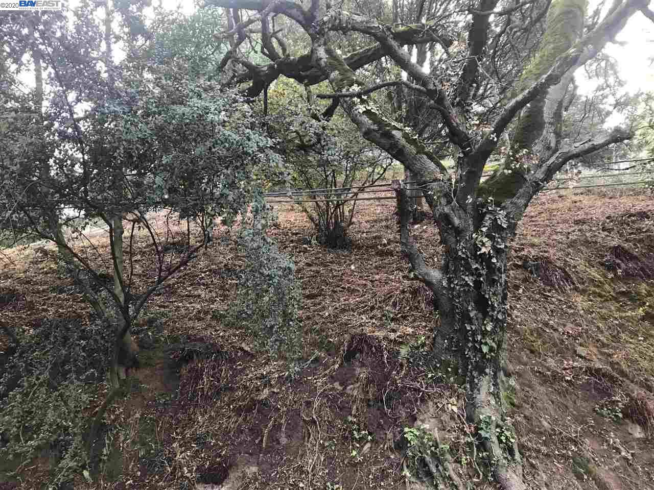 Oakland, CA 94611,0 Chelton Dr.