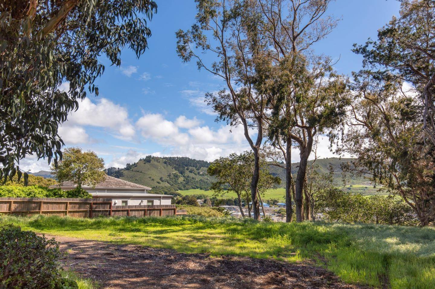 Carmel, CA 93923,3528 Lazarro Drive
