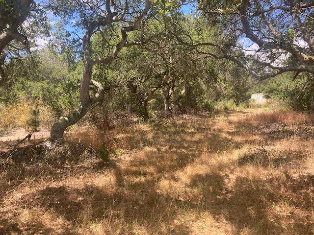 Salinas, CA 93907,19555 Vierra Canyon Road