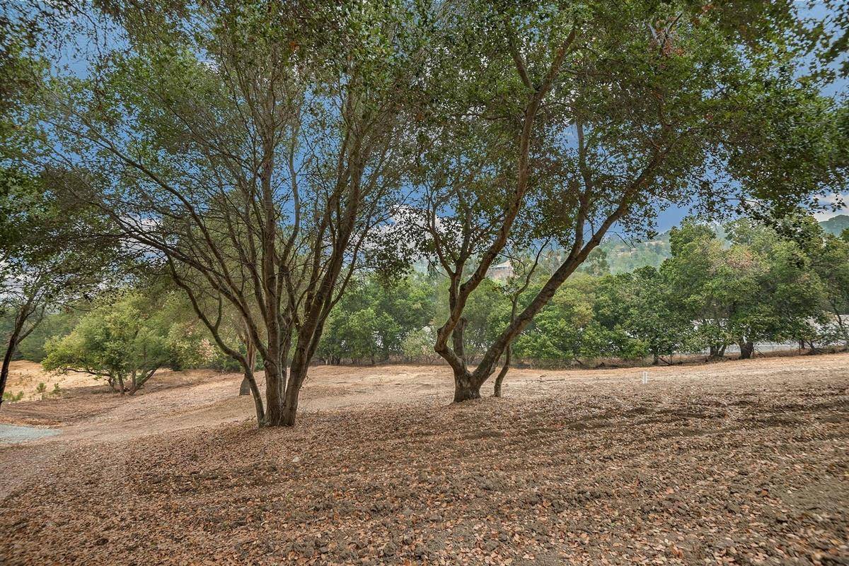Los Altos Hills, CA 94022,27360 Elena Road