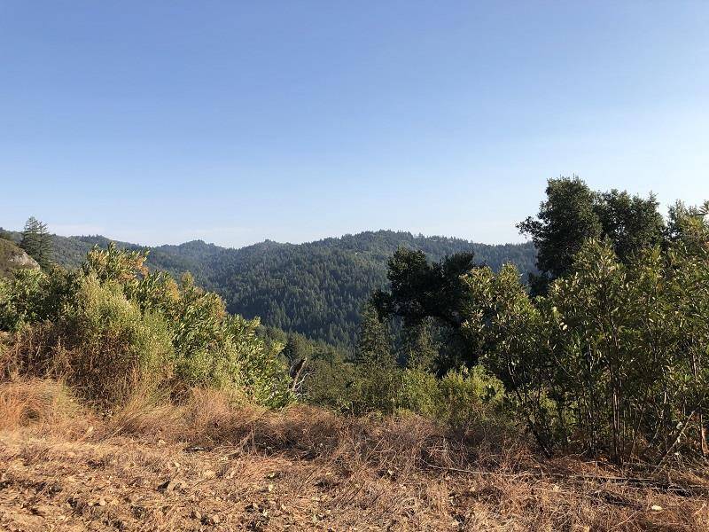 Boulder Creek, CA 95006,0 HARTMAN CREEK Road