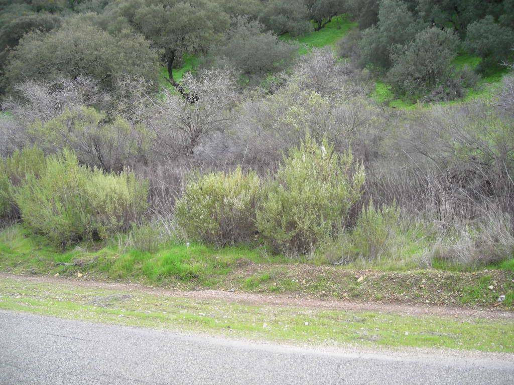 King City, CA 93930,0 Lockwood San Lucas Road