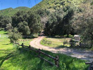 King City, CA 93930,53700 Pine Canyon Road