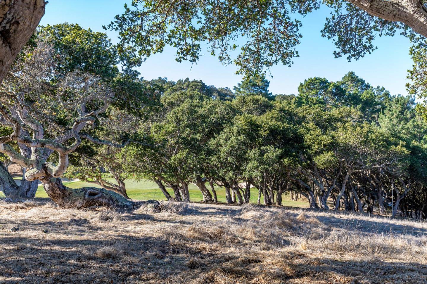 Carmel, CA 93923,25520 Via Malpaso (Lot 92)