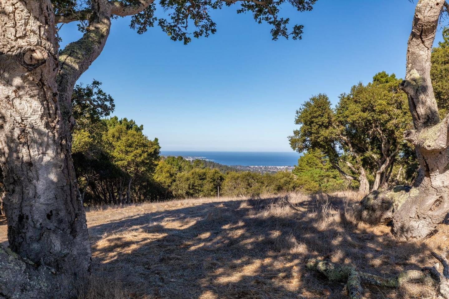 Carmel, CA 93923,25520 Via Malpaso (Lot 92)