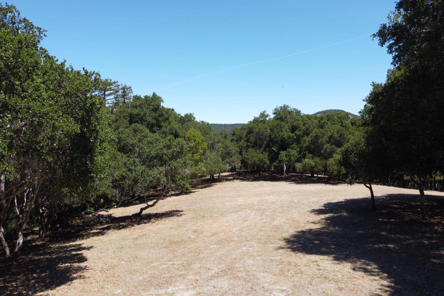 Carmel, CA 93923,30 Potrero Trail