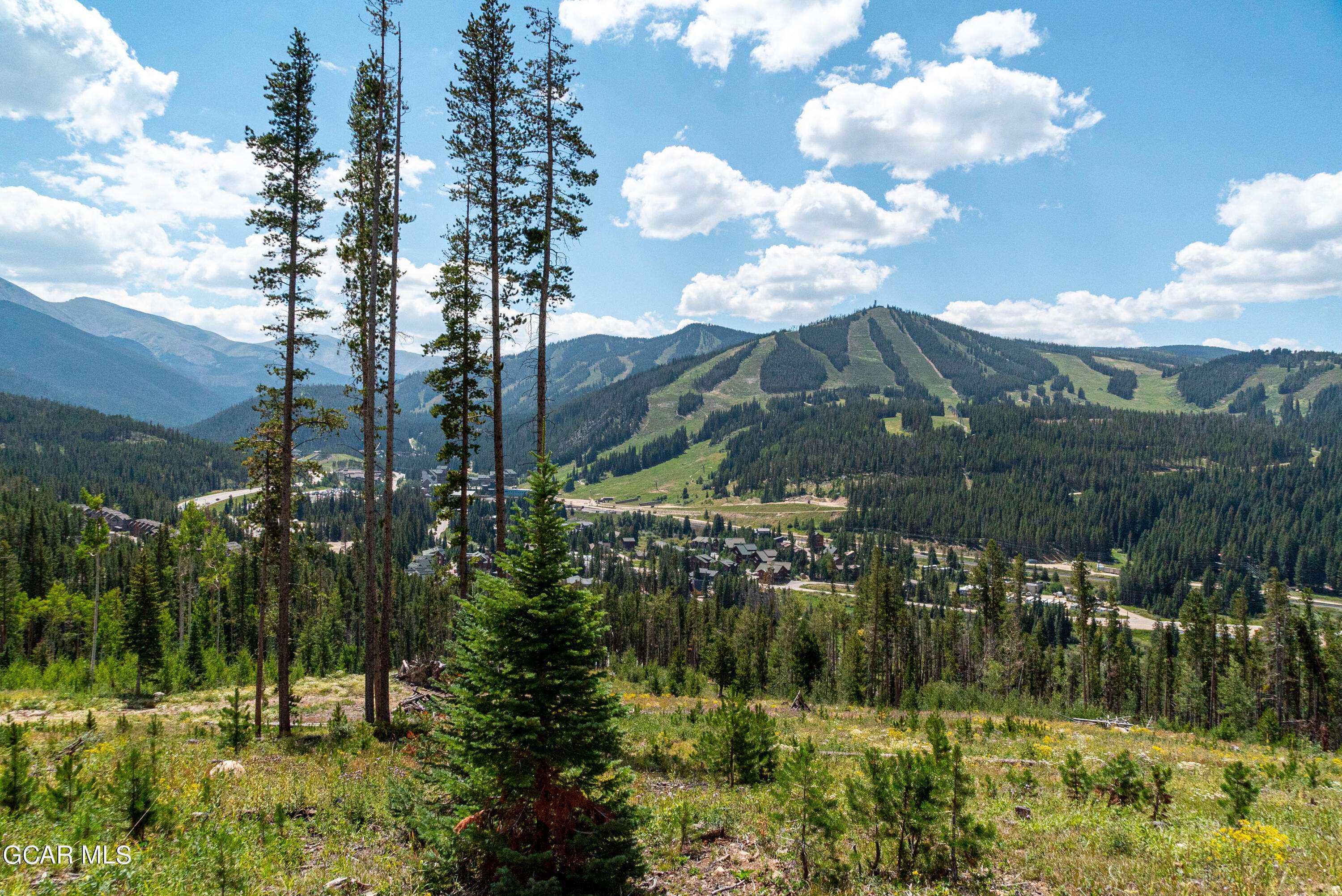 Winter Park, CO 80482,54 Cub Creek Way, Lot 3