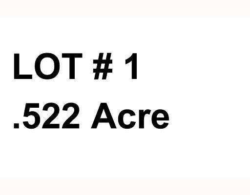 Saint Marys, OH 45885,308 Miami Erie Circle #Lot1