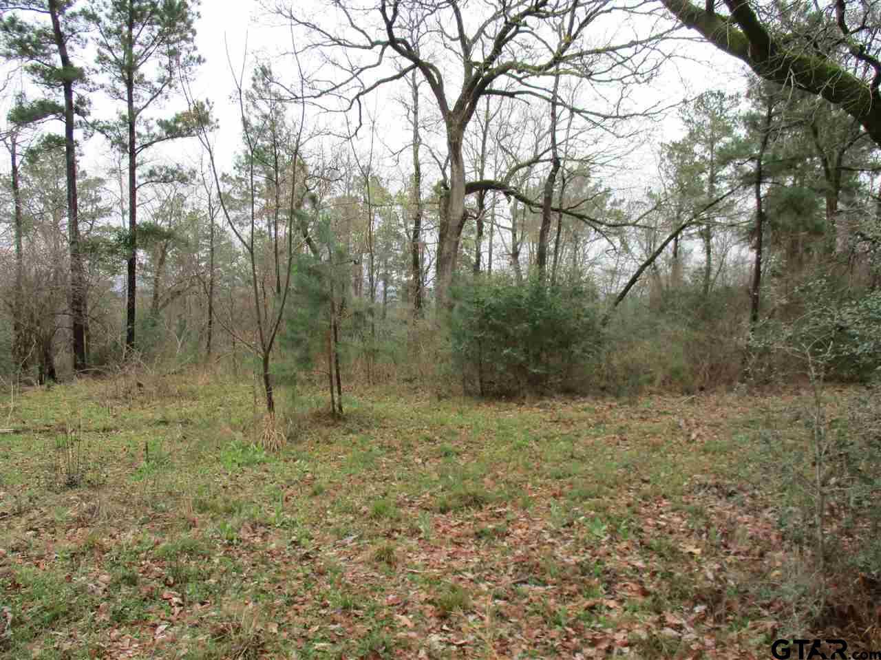 Rusk, TX 75785,TBD CR 2109