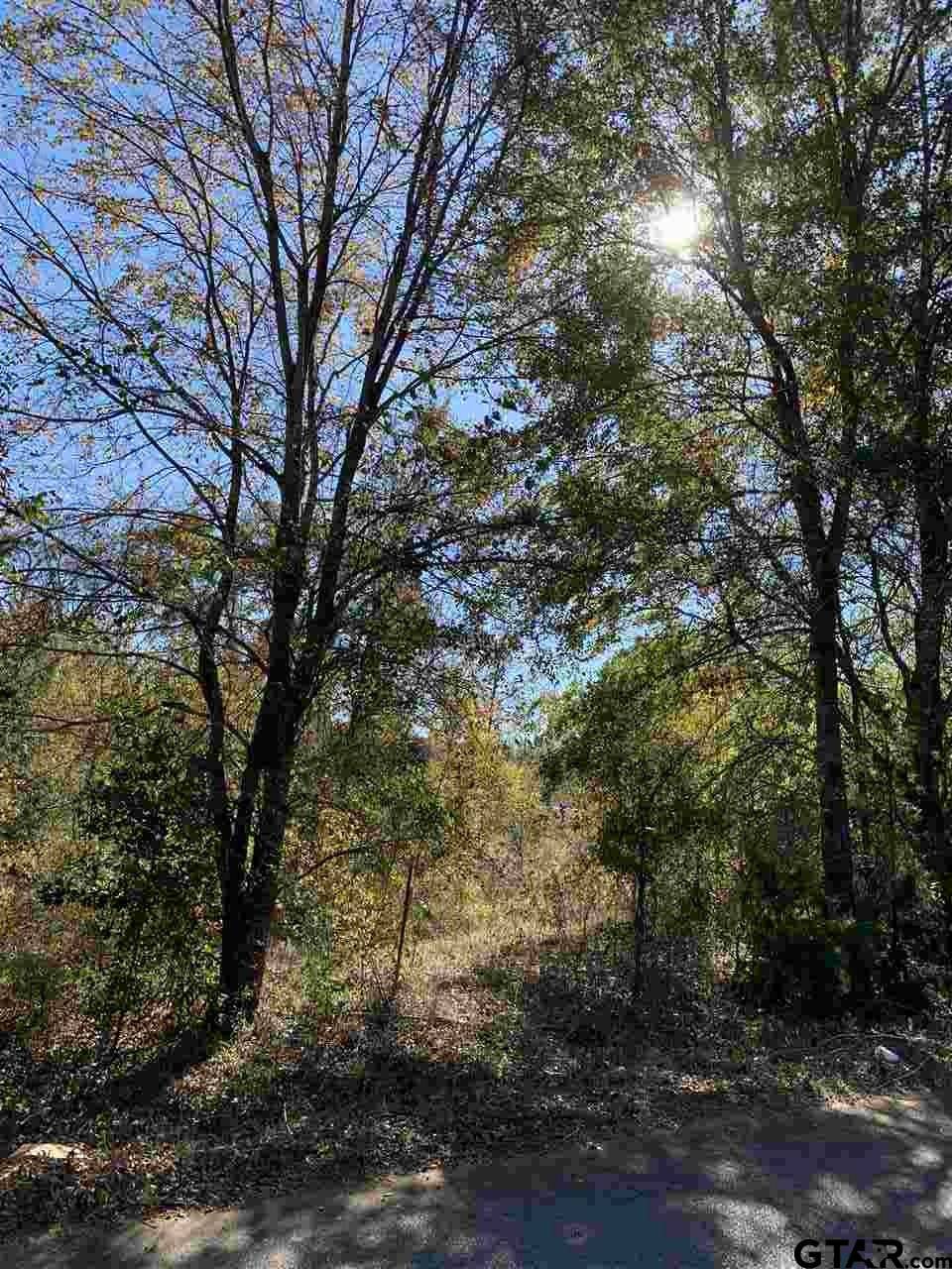 Lindale, TX 75771,TBD CR 472 & I20