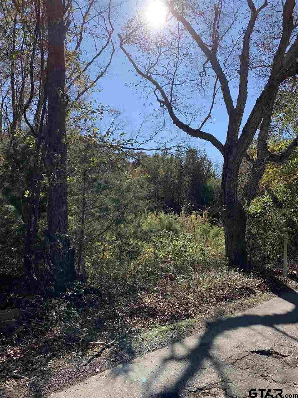 Lindale, TX 75771,TBD CR 472 & I20