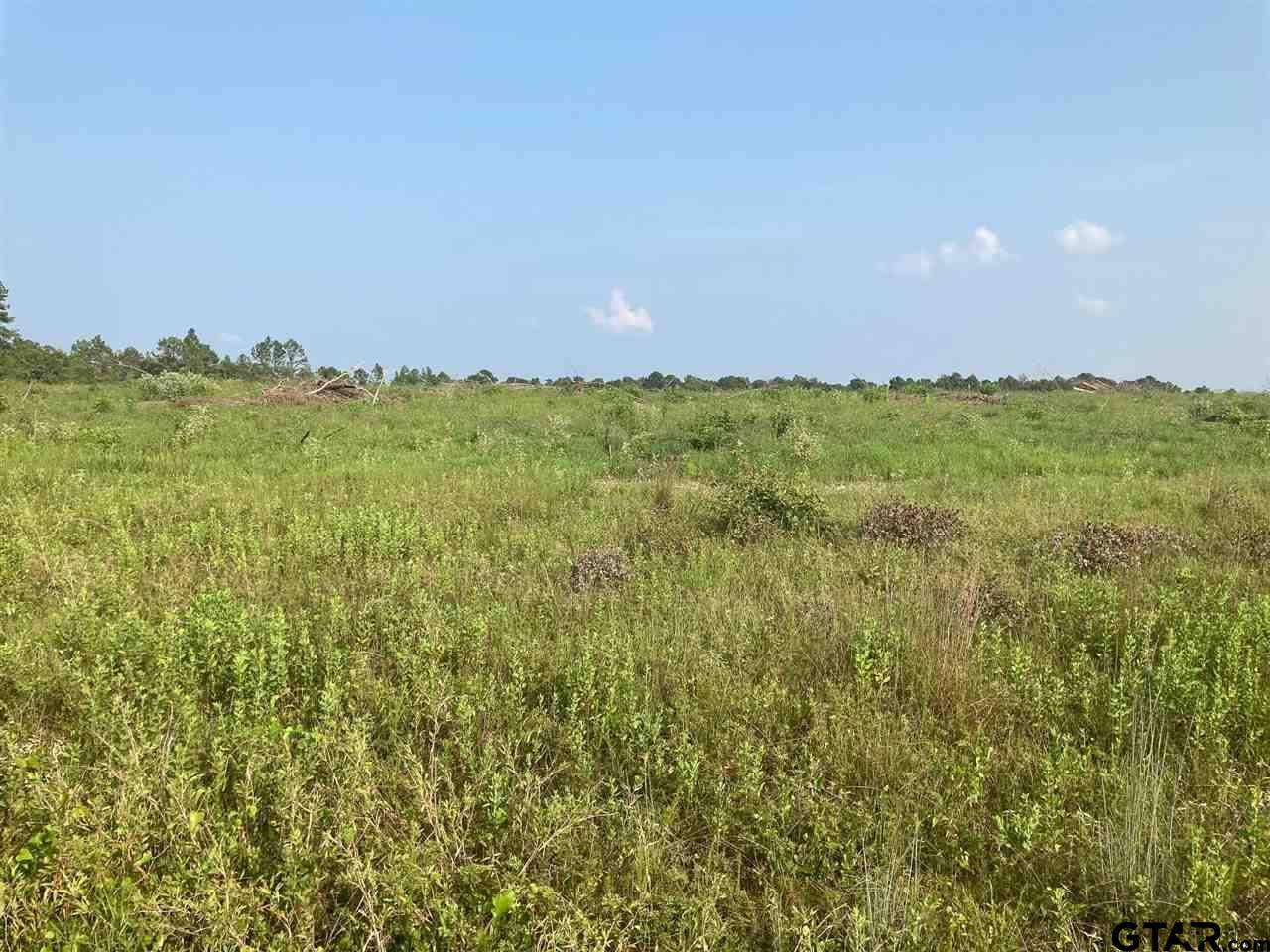Neches, TX 75779,TBD CR 355