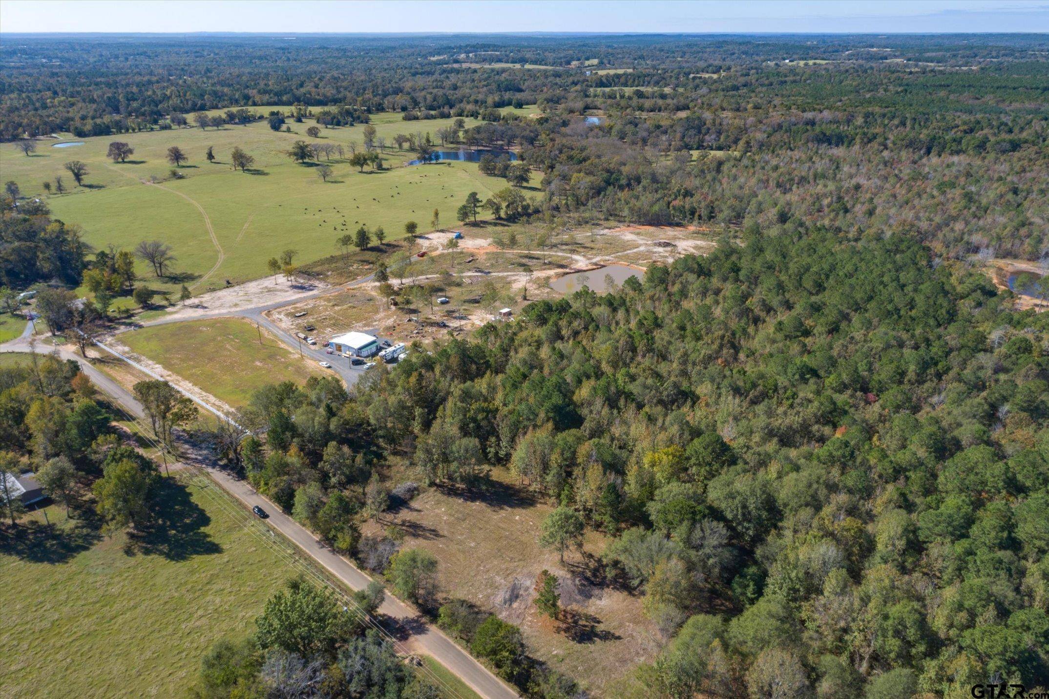 Gilmer, TX 75644,2320 Black Walnut Dr