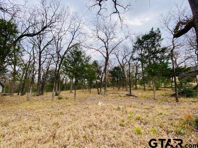 Mabank, TX 75147,125 Oakbend Trail