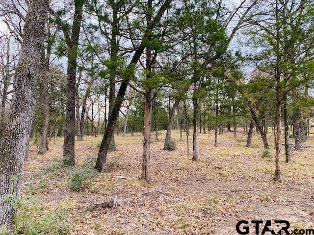 Mabank, TX 75147,125 Oakbend Trail