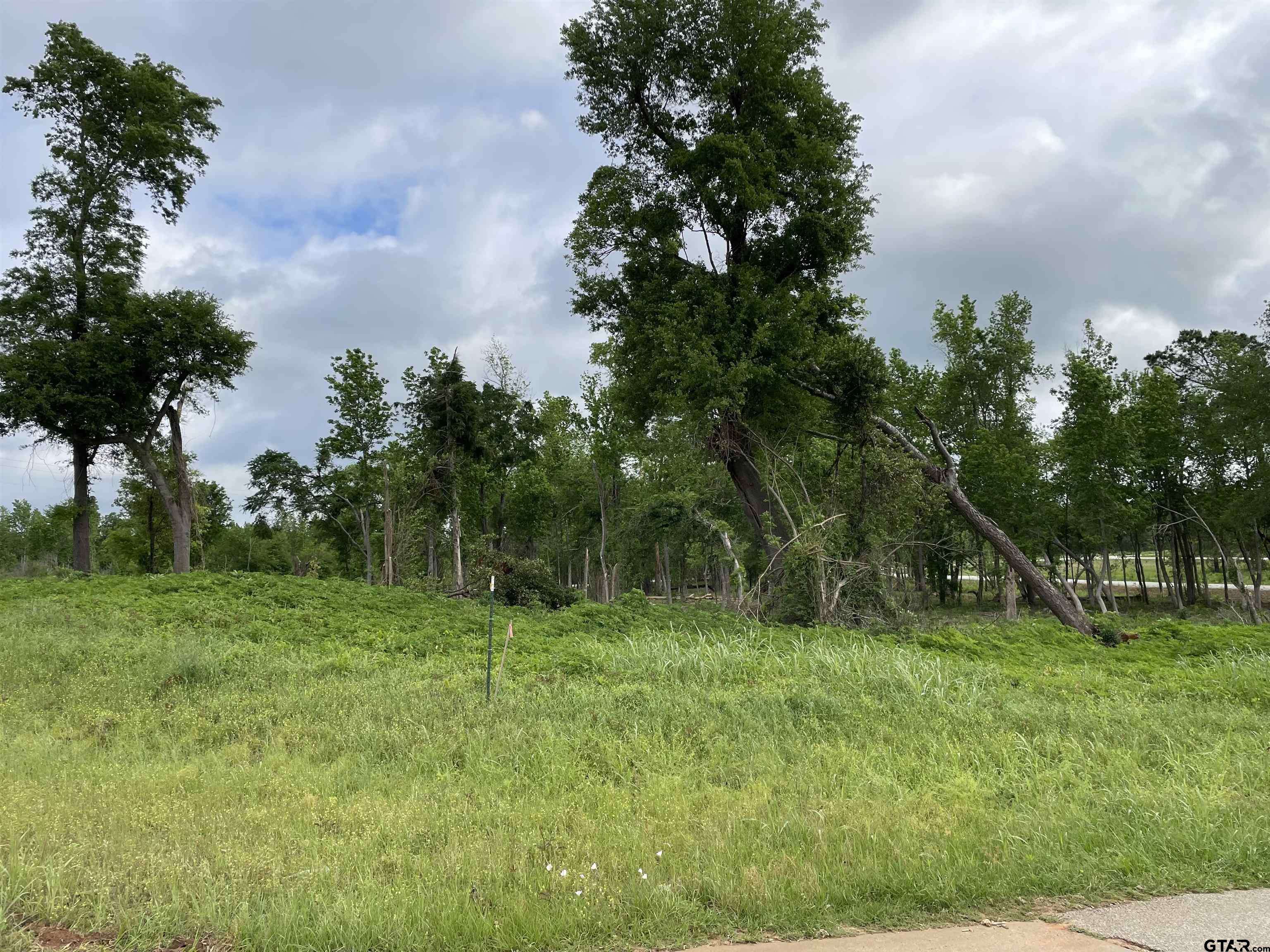 Alto, TX 75925,TBD Live Oak Lot 18