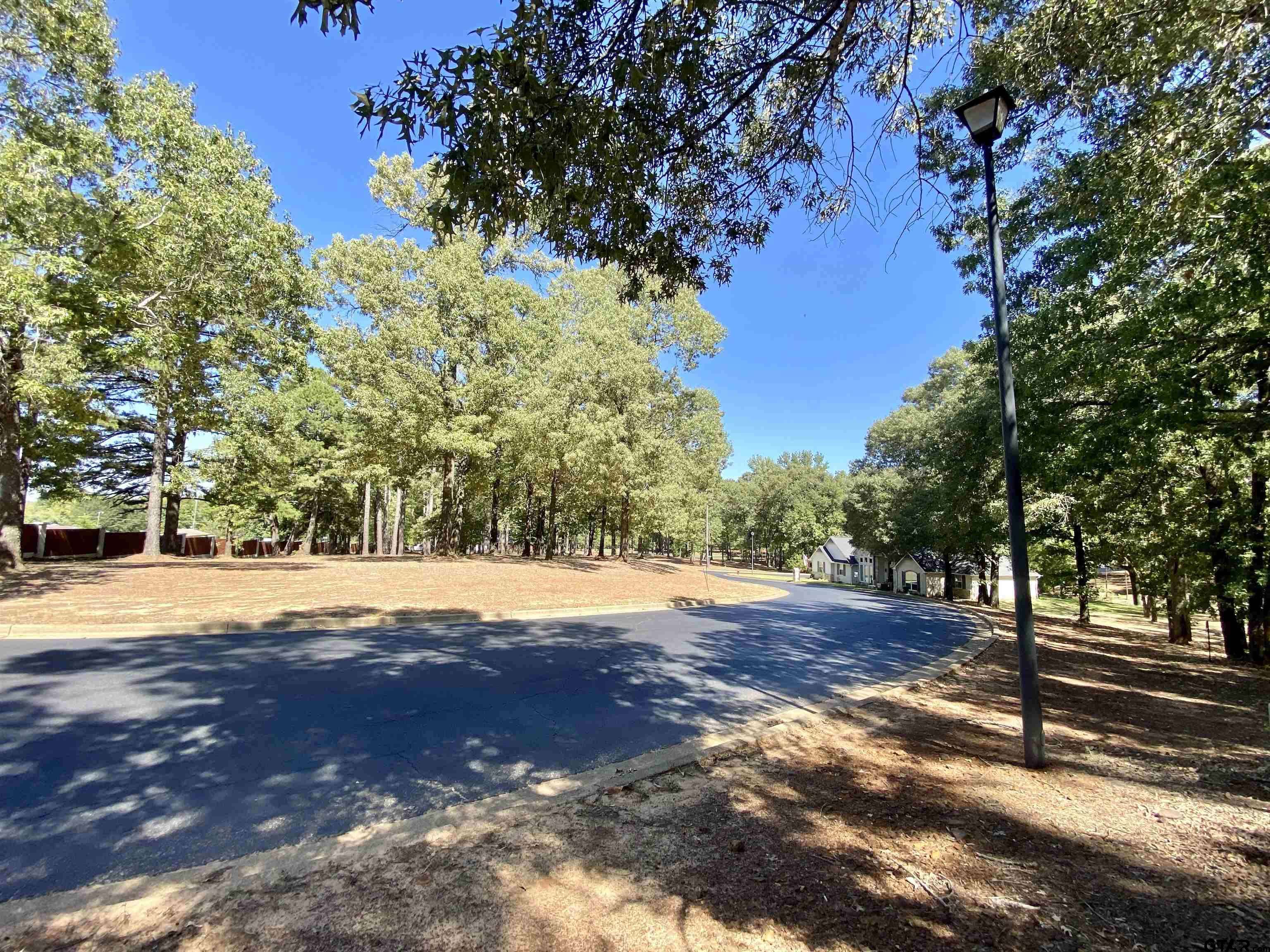 Frankston, TX 75763,Lot 3 Easy St