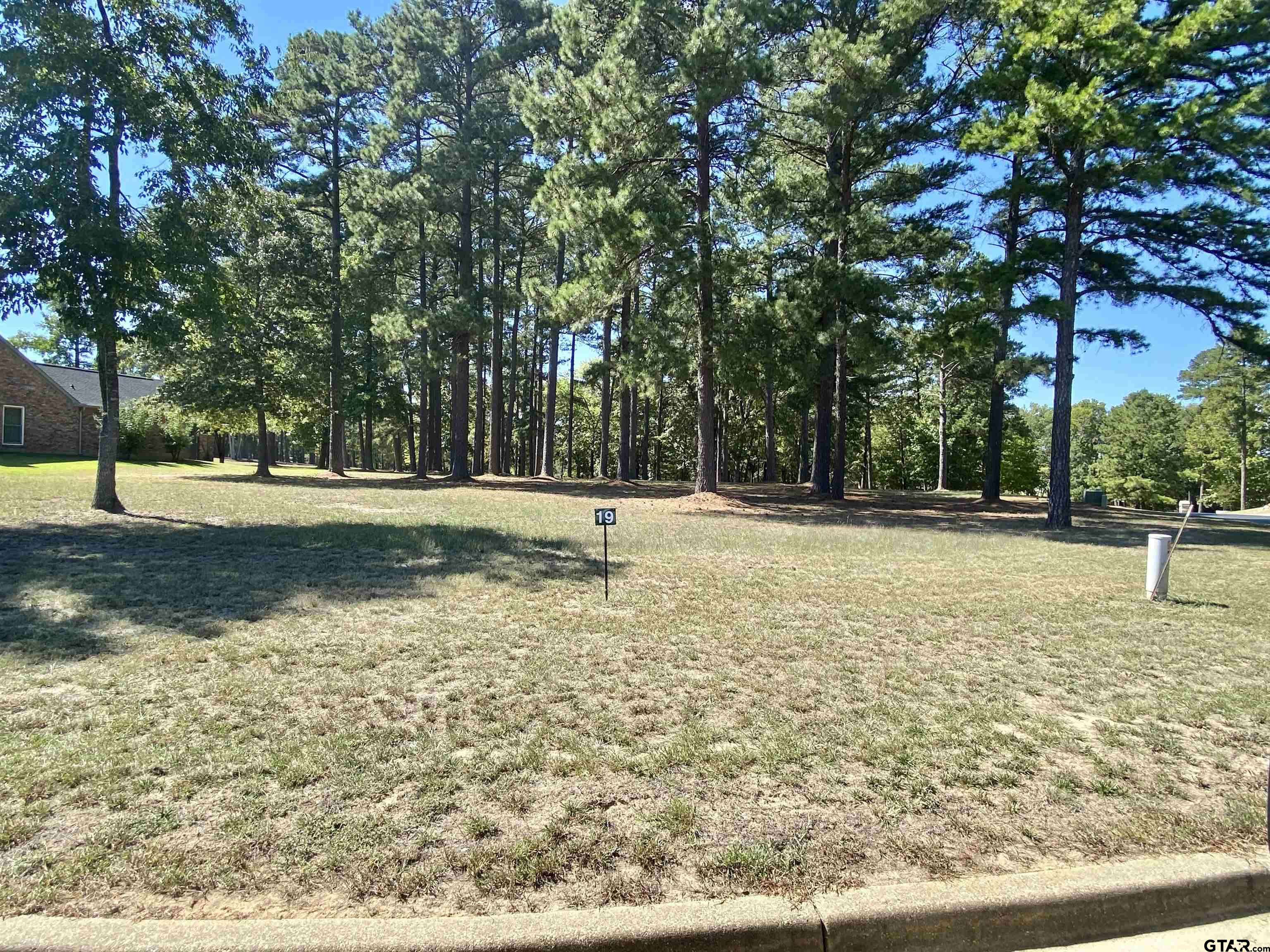 Frankston, TX 75763,Lot 19 Easy St