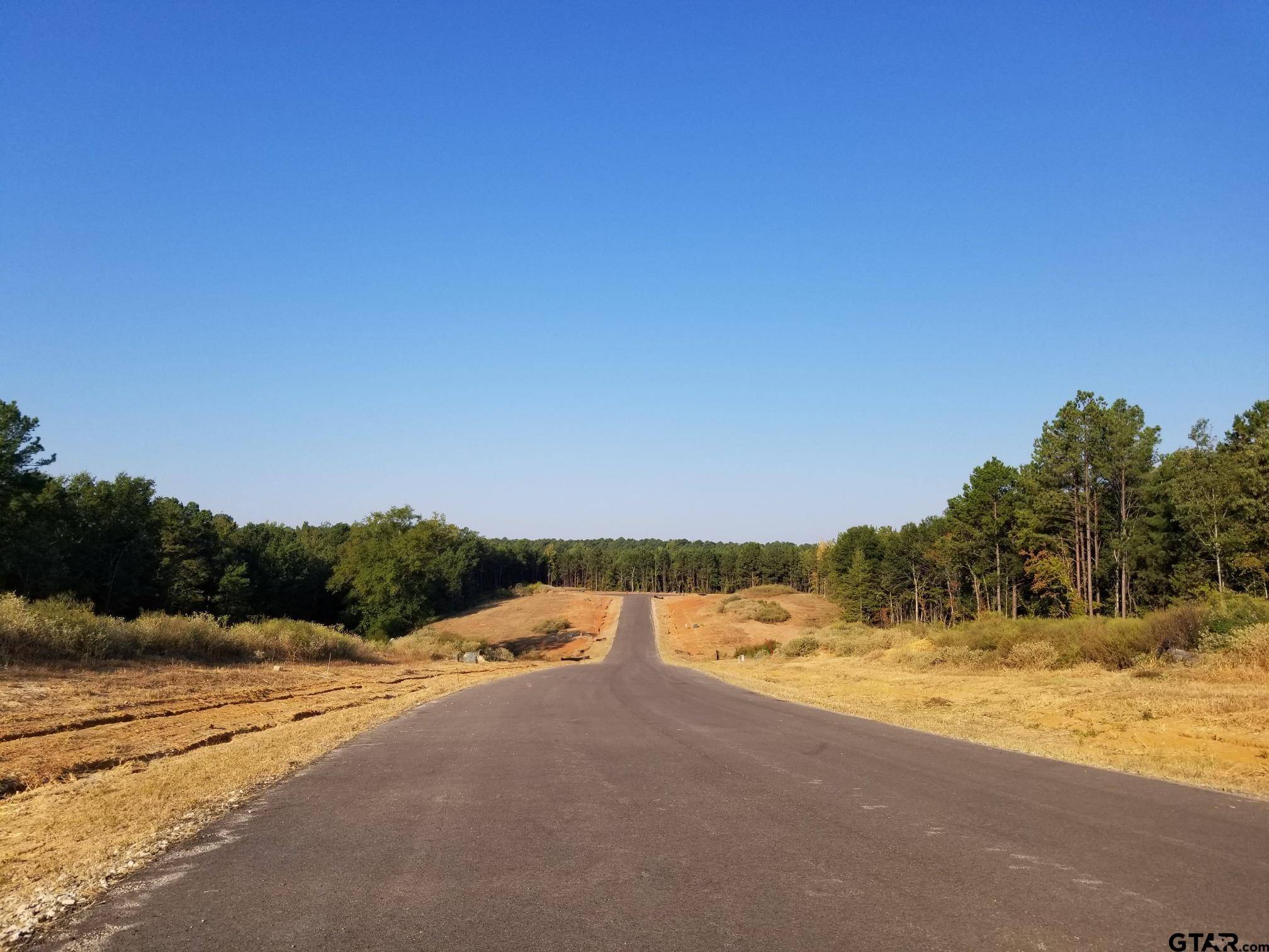 Arp, TX 75750,20519 Wild Arrow Ct