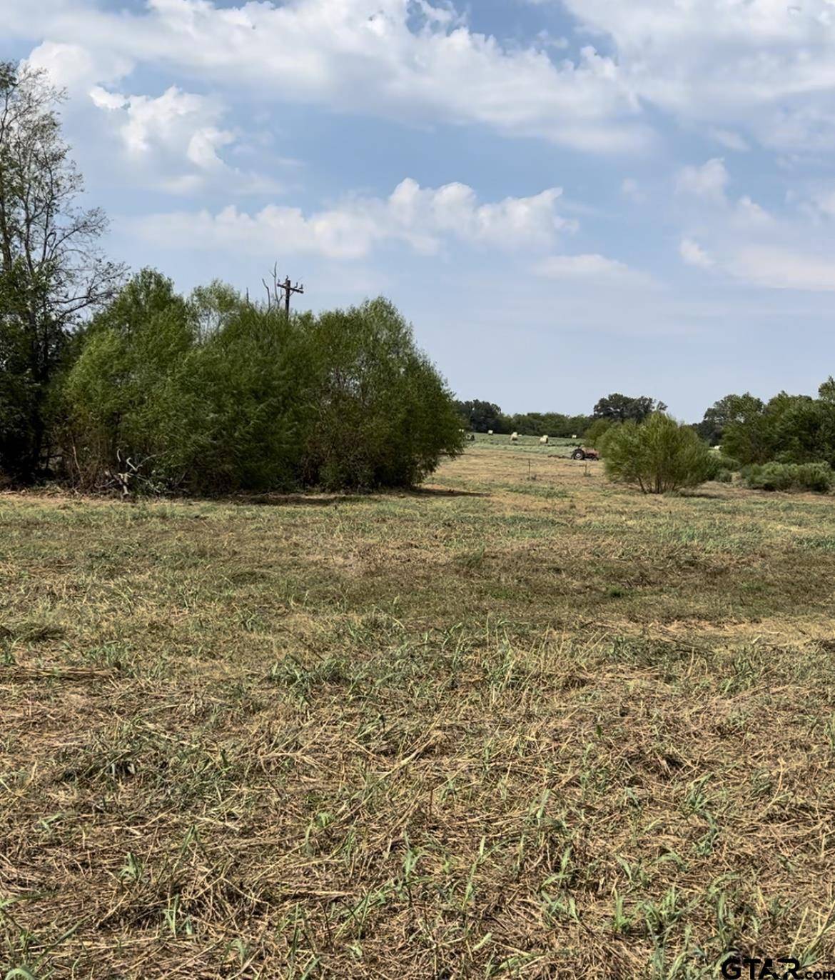Emory, TX 75440,Lot 6 County Road 3374