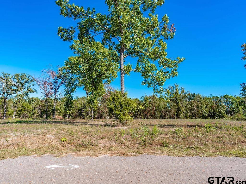 Big Sandy, TX 75755,TBD Angus RD (lot 6)