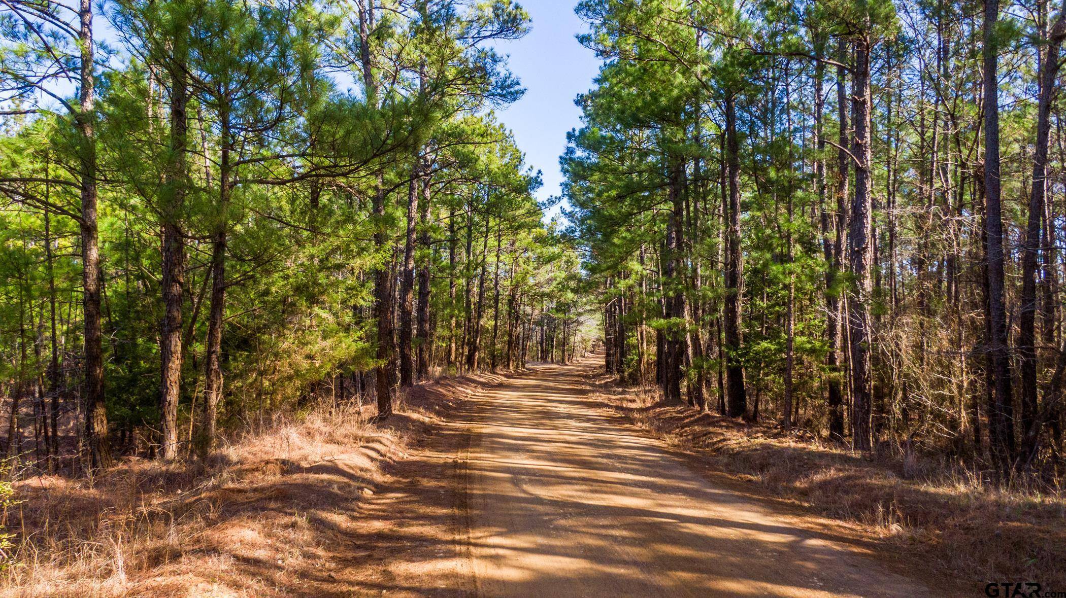 Neches, TX 75779,ACR 338