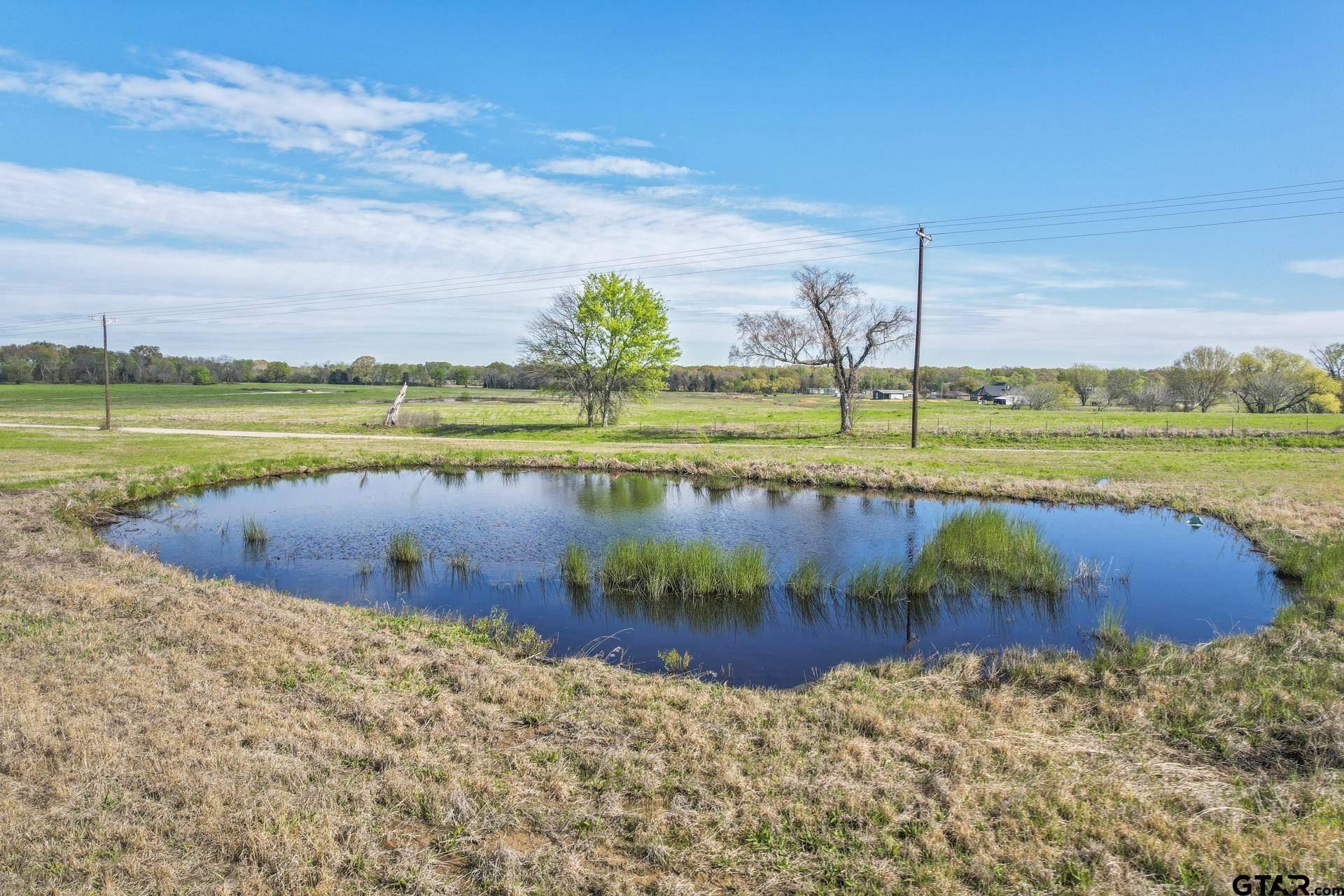 Mt Pleasant, TX 75455,000 CR 1200 61.5 AC