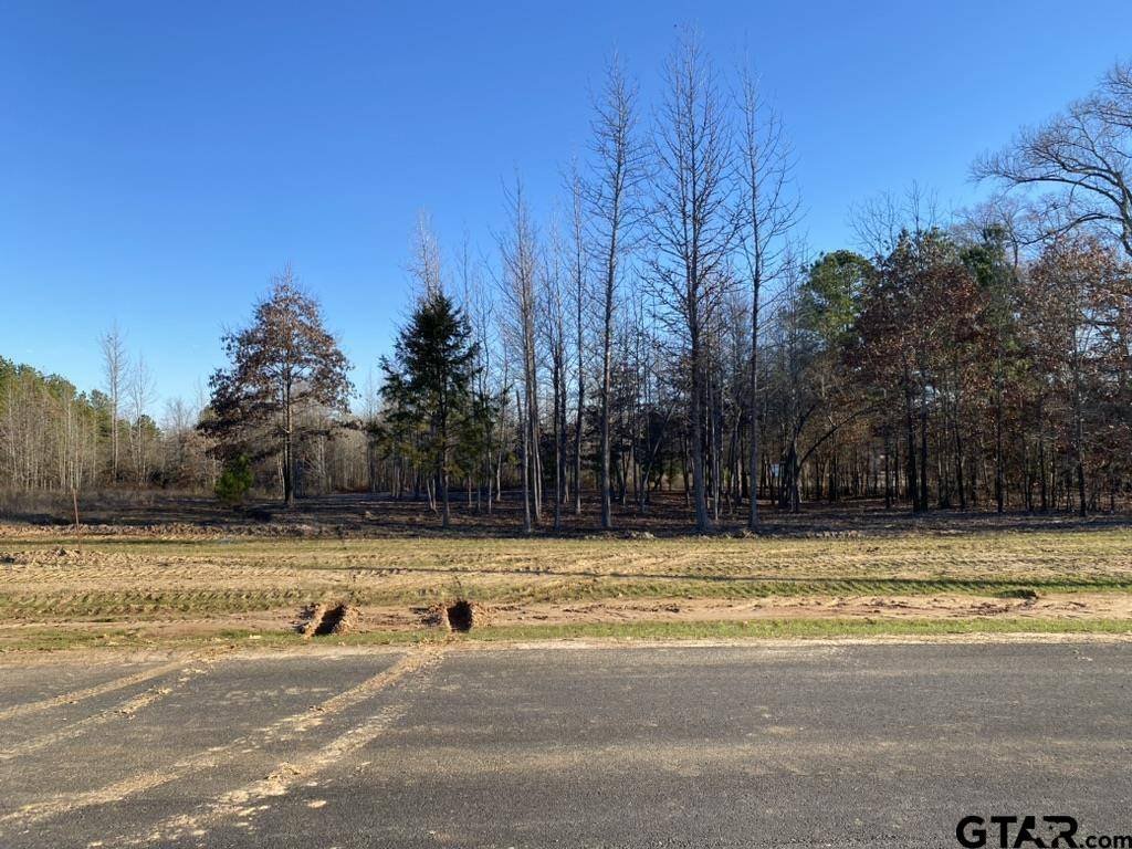 Winona, TX 75792,16737 Ridgeline Loop
