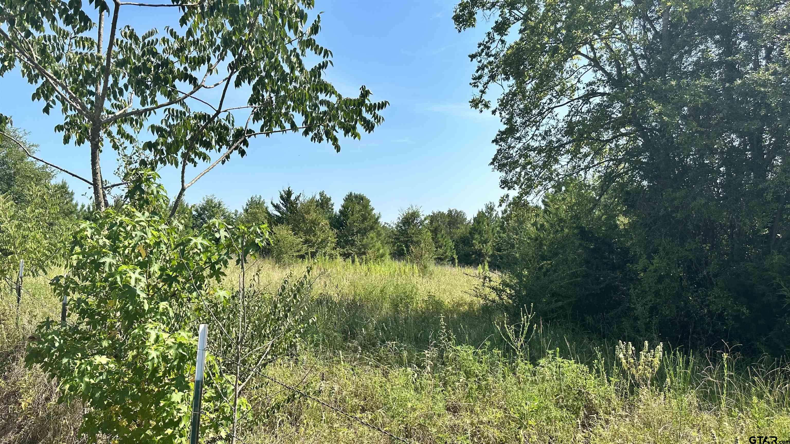 Tyler, TX 75701,16190 old new harmony rd