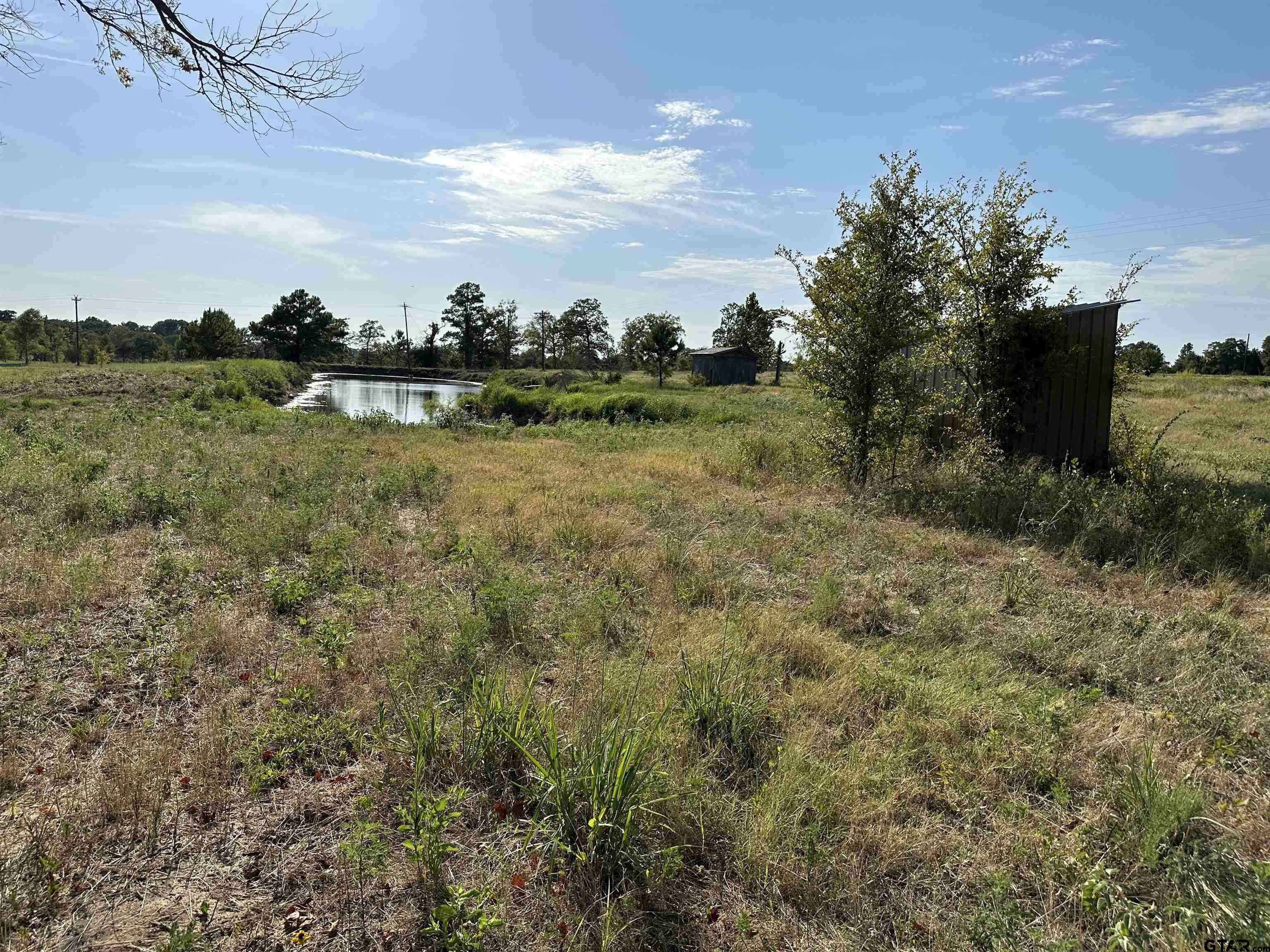 Brownsboro, TX 75756,Lot 1 CR 3612