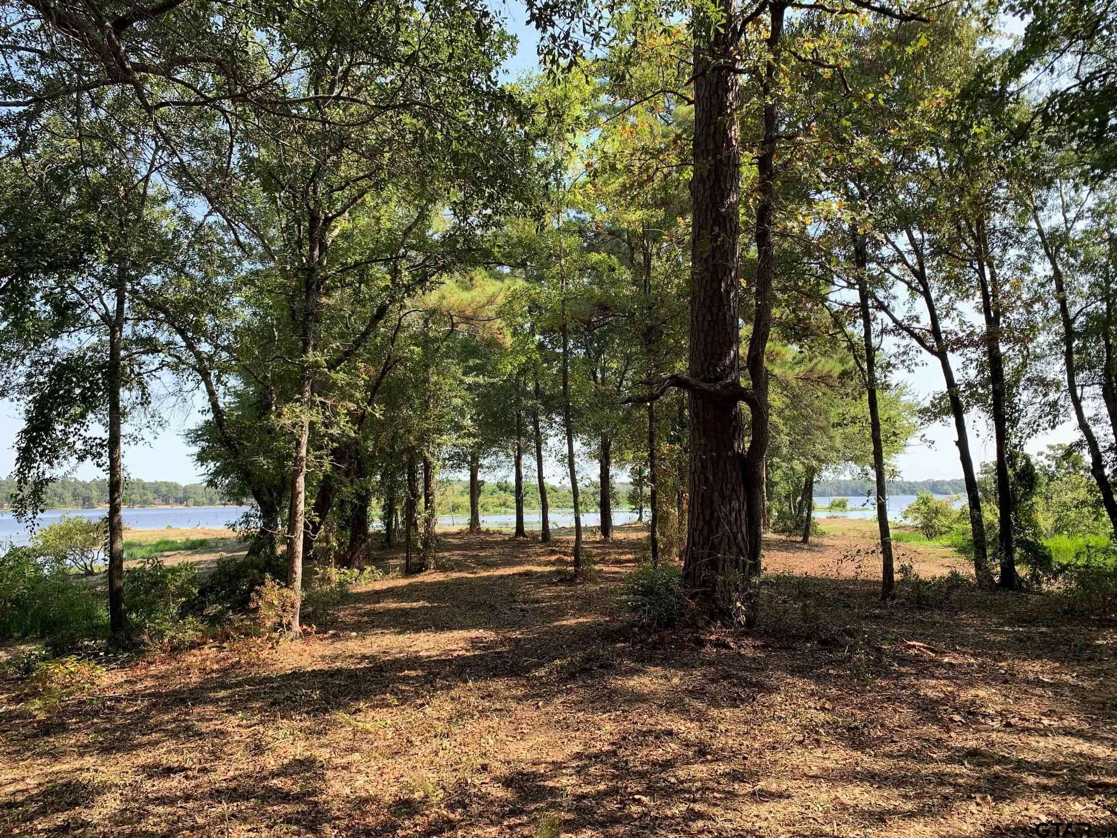 Larue, TX 75770,3196 Shadow Pine Lot 46