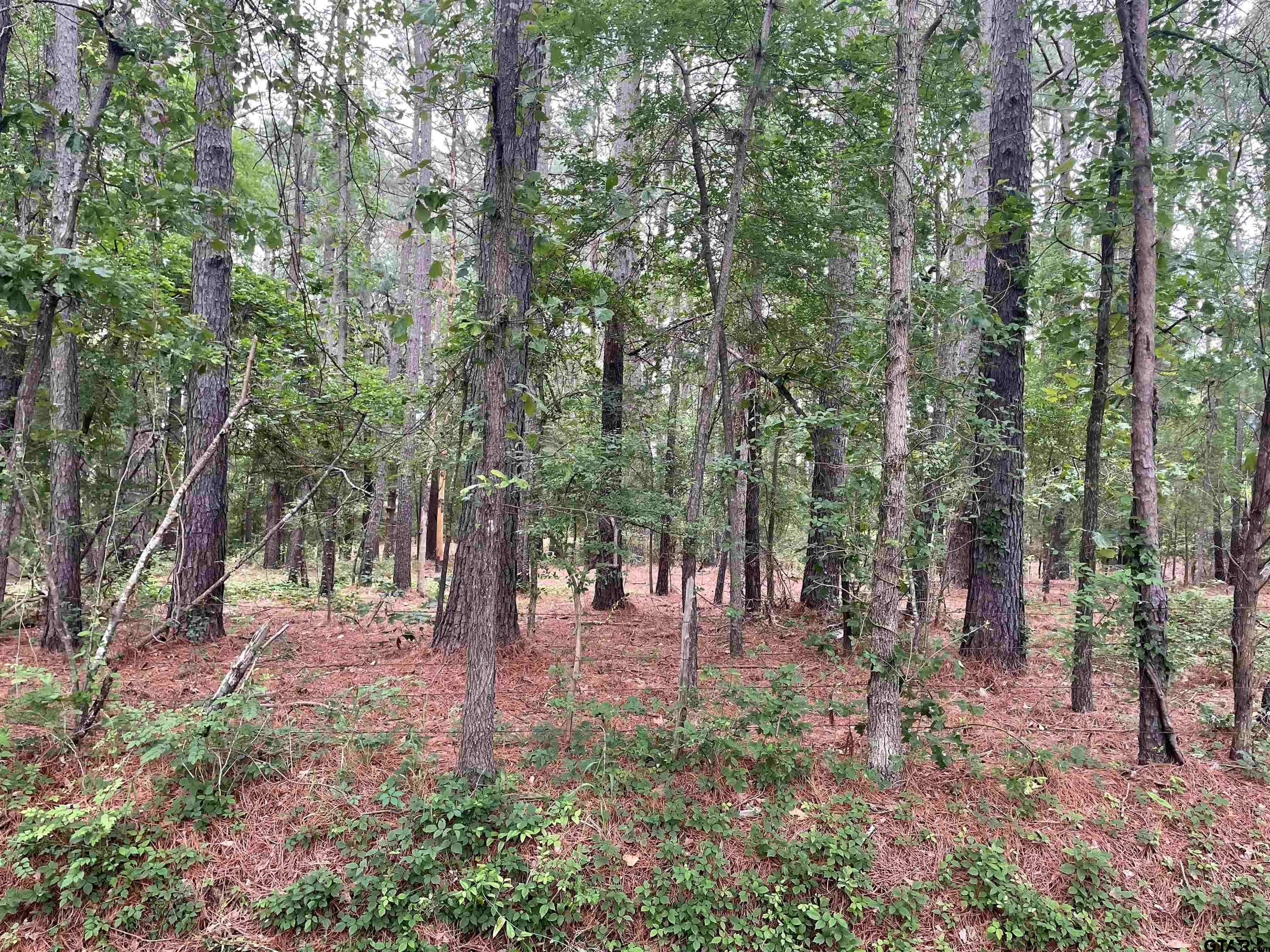 Lindale, TX 75771,20348 CR 4106   Lot 12